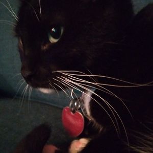 Meet your Posher, Gabby